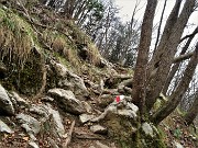 In CANTO ALTO (1146 m) da casa (Zogno, 310 m) ad anello (3mar21) - FOTOGALLERY